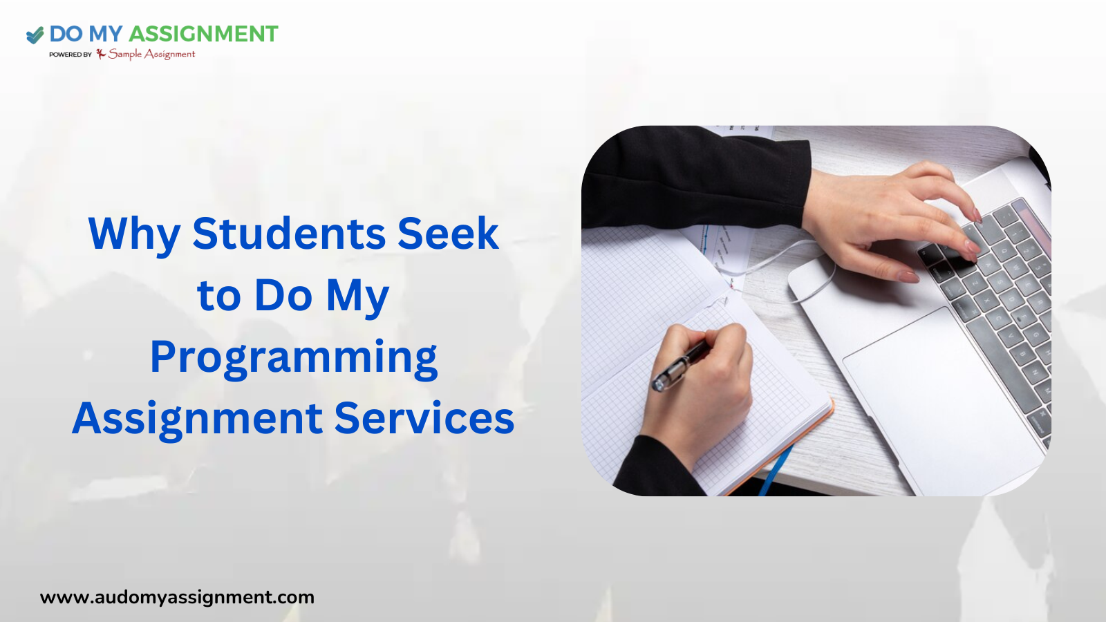Why Students Seek to Do My Programming Assignment Services